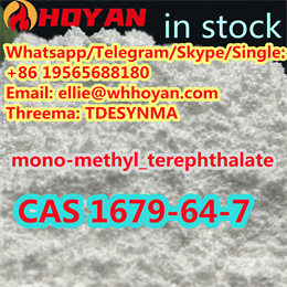 China Supply High Quality 99% CAS 1679-64-7 mono-Methyl terephthalate +86 19565688180